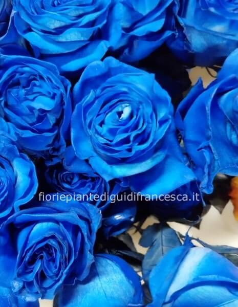 Rose blu